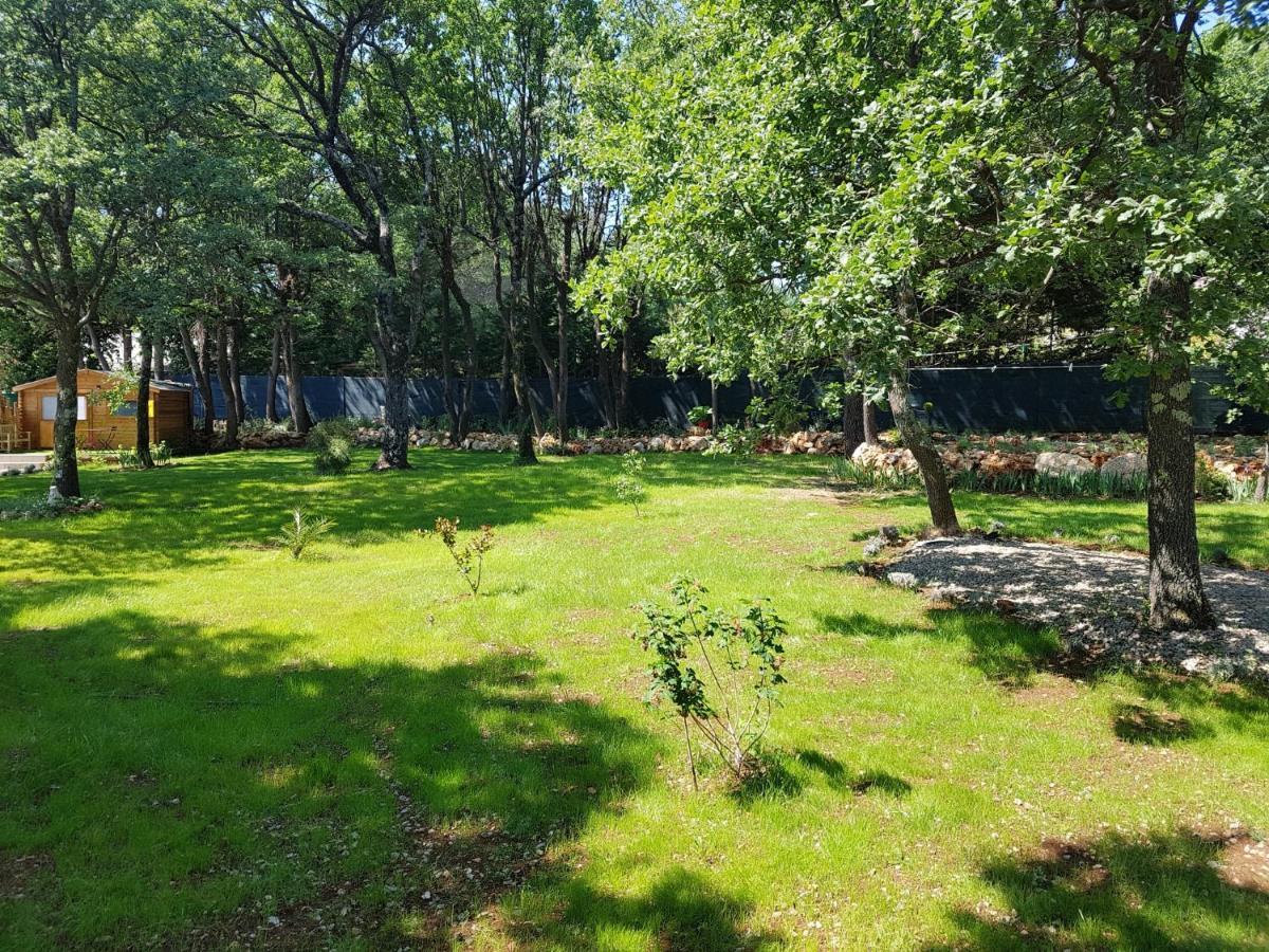 Les Lezards 2 Au Soleil Draguignan Bed & Breakfast Luaran gambar