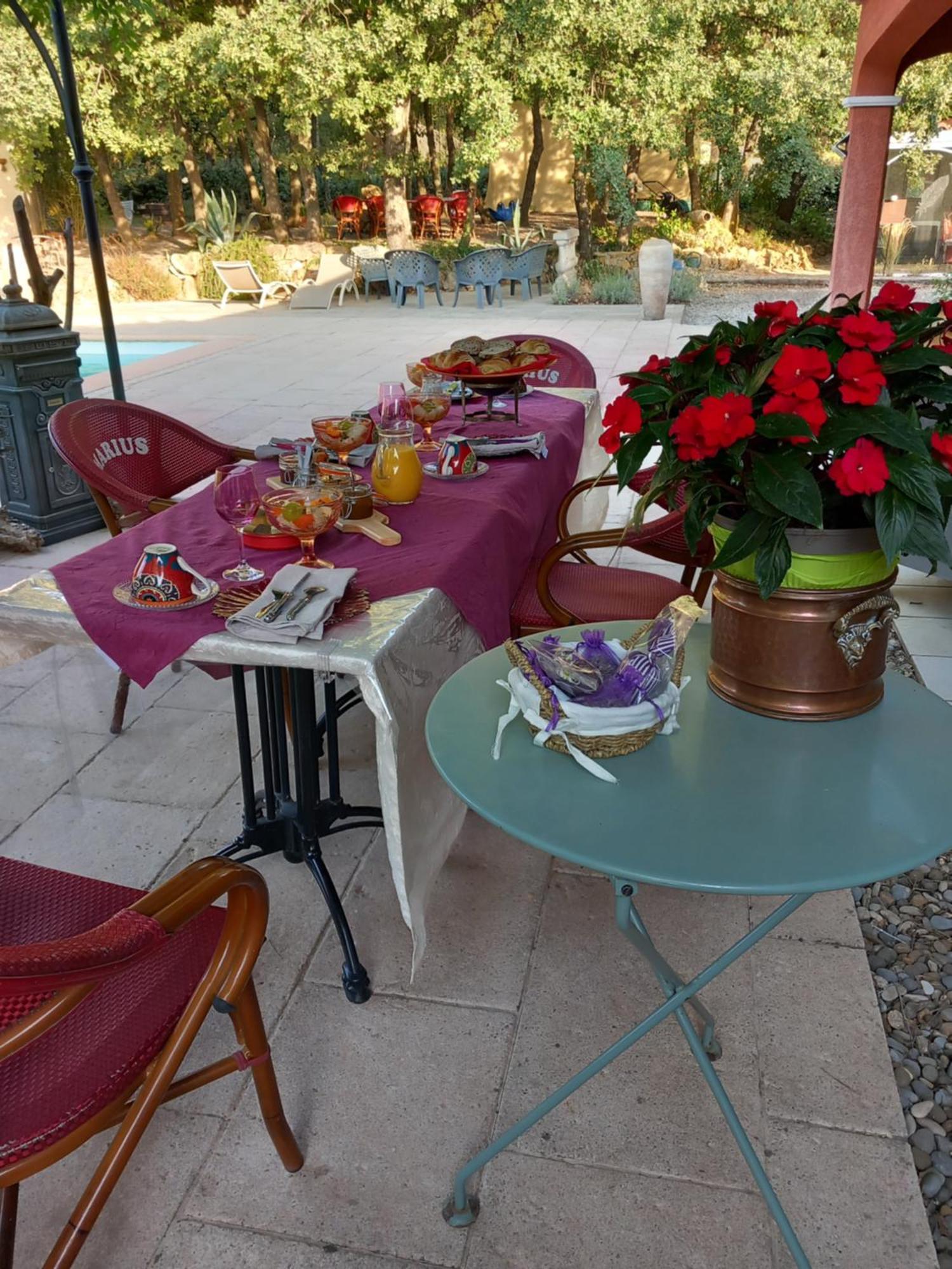 Les Lezards 2 Au Soleil Draguignan Bed & Breakfast Luaran gambar